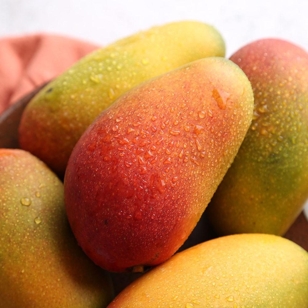 海南树上熟贵妃芒5斤礼盒装